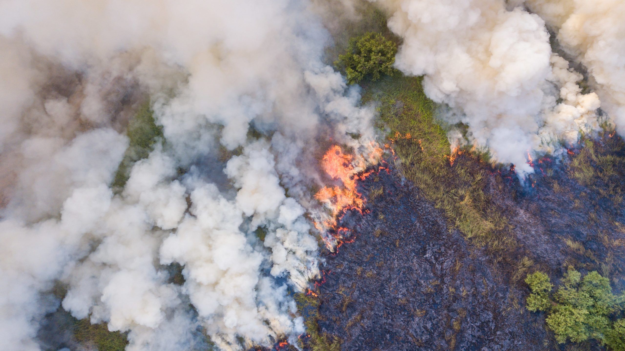 Use Cases for Remote Sensing in Forest Fire Management