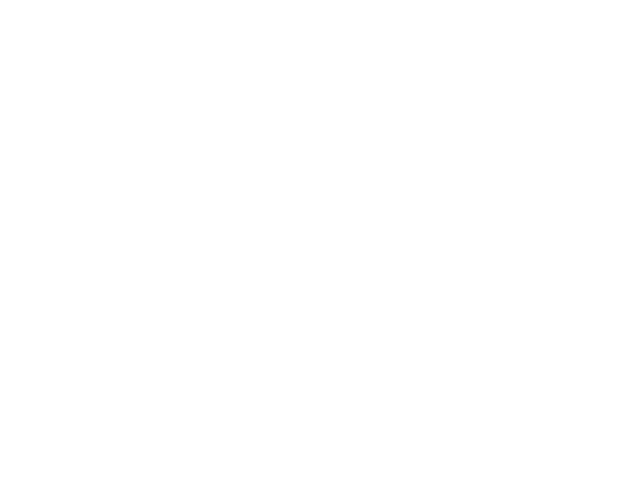 U.S. Air Force White Logo